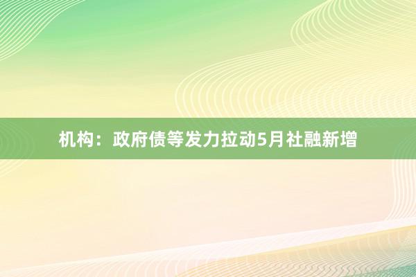 机构：政府债等发力拉动5月社融新增