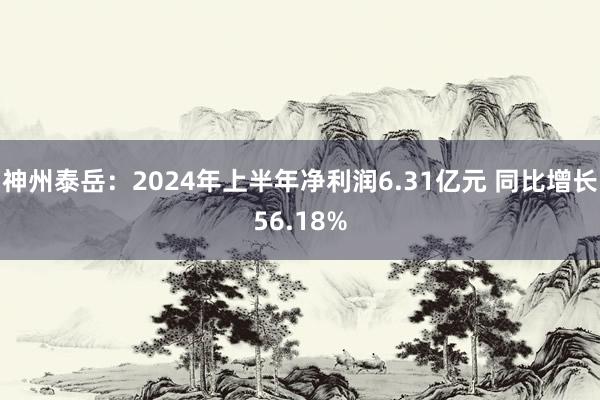 神州泰岳：2024年上半年净利润6.31亿元 同比增长56.18%