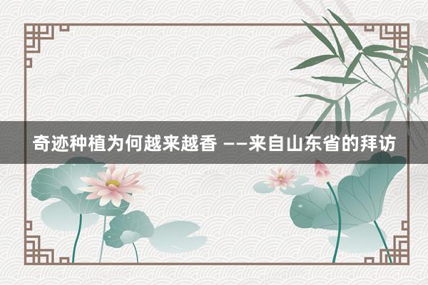 奇迹种植为何越来越香 ——来自山东省的拜访