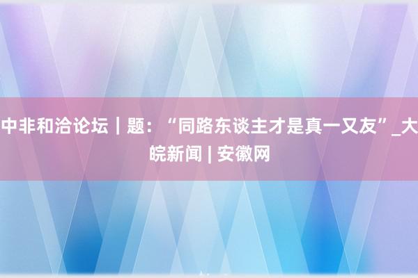 中非和洽论坛｜题：“同路东谈主才是真一又友”_大皖新闻 | 安徽网