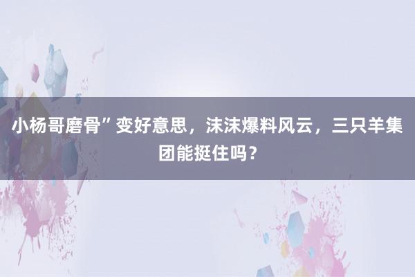 小杨哥磨骨”变好意思，沫沫爆料风云，三只羊集团能挺住吗？