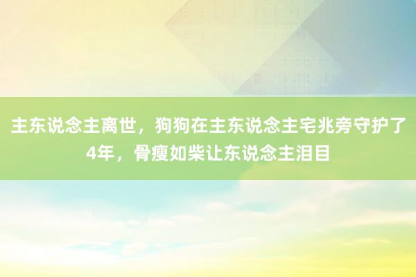 主东说念主离世，狗狗在主东说念主宅兆旁守护了4年，骨瘦如柴让东说念主泪目