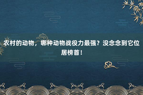 农村的动物，哪种动物战役力最强？没念念到它位居榜首！